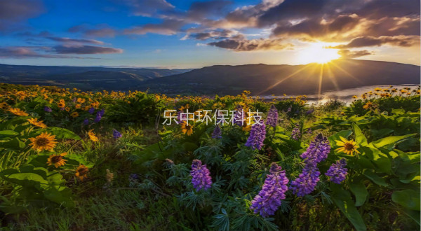 污水处理厂活性污泥法日常管理中，需要监测与注意的参数-hth首页登录
