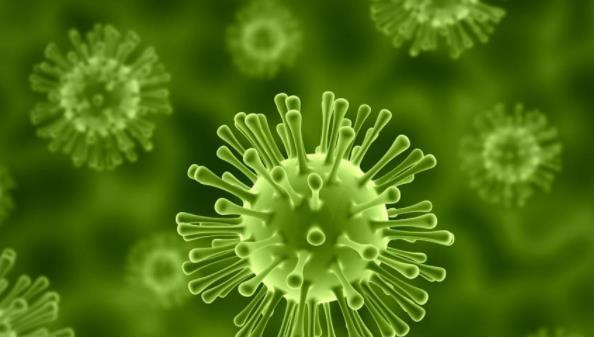 活性污泥中包含哪些微生物？-hth首页登录
