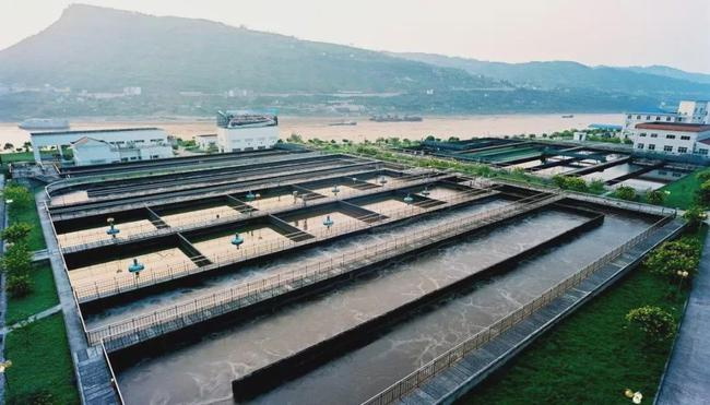 活性污泥净化污水的过程展示-hth首页登录
