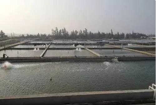 渔场养殖废水处理方案及工艺流程-hth首页登录

