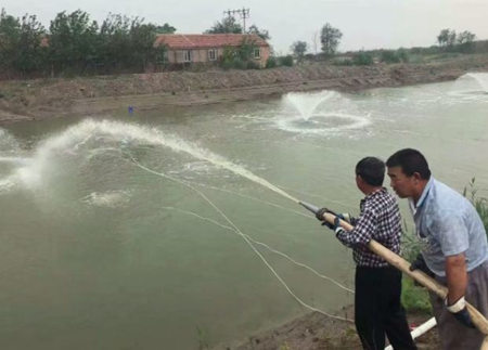 河道治理药剂功效怎么样（能有效除菌抑藻、降解有机物）