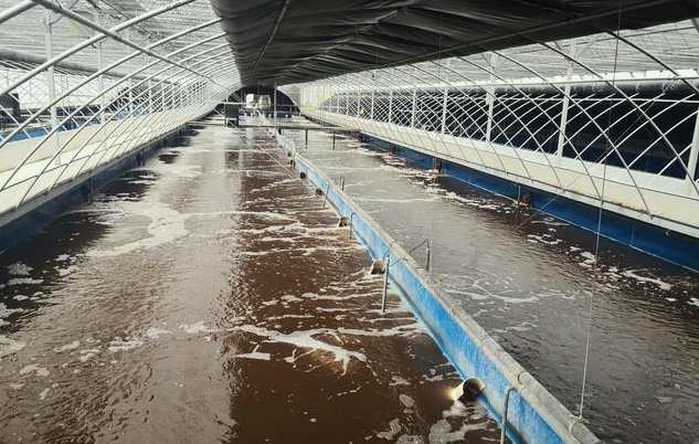 畜禽污水处理的方法、步骤(主流畜禽污水处理工艺有哪些) 畜禽污水处理的方法、步骤(主流畜禽污水处理工艺有哪些)