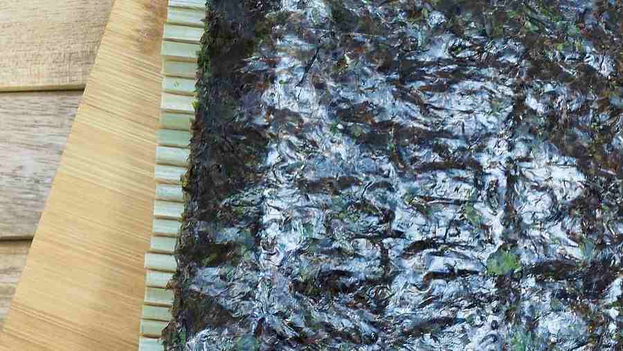 污水处理菌种培养方法(污水处理菌种有哪些) 污水处理菌种培养方法(污水处理菌种有哪些)